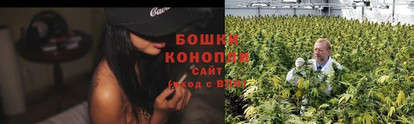 шишки Губаха