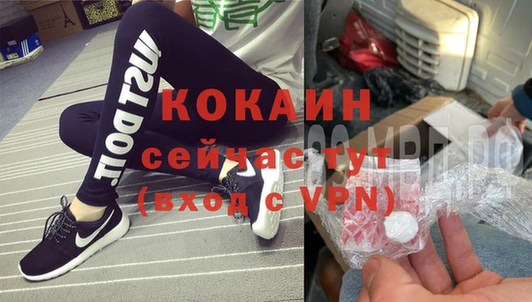 тгк Дегтярск