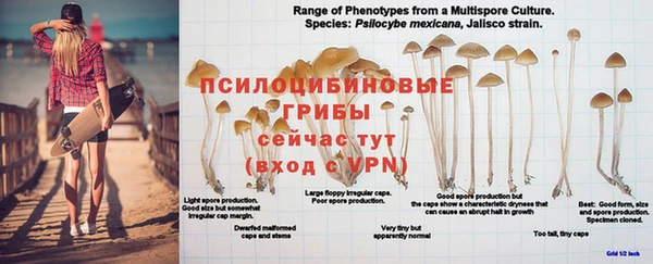 мяу мяу мука Дедовск