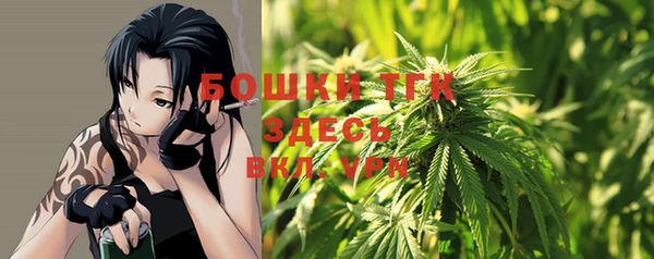 тгк Дегтярск